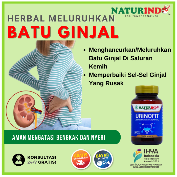 Obat Ginjal Meluruhkan Batu Urine Sakit Pinggang Infeksi Saluran Kencing Nyeri Melancarkan BAK Anyan