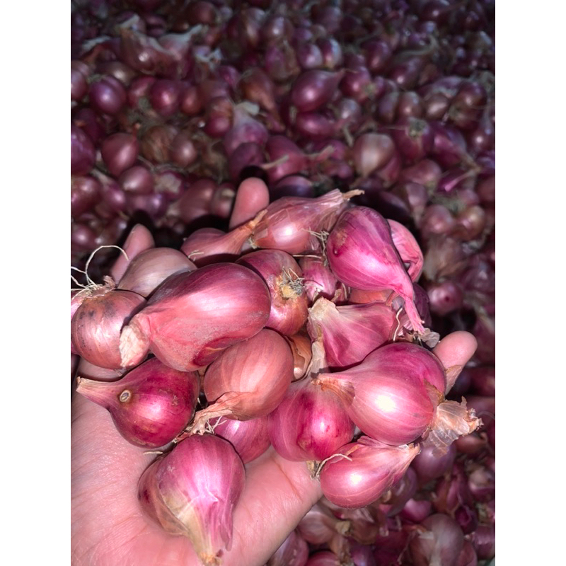 

Bawang Merah besar premium 1 kg