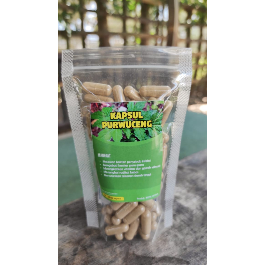KAPSUL PURWOCENG 100% ASLI