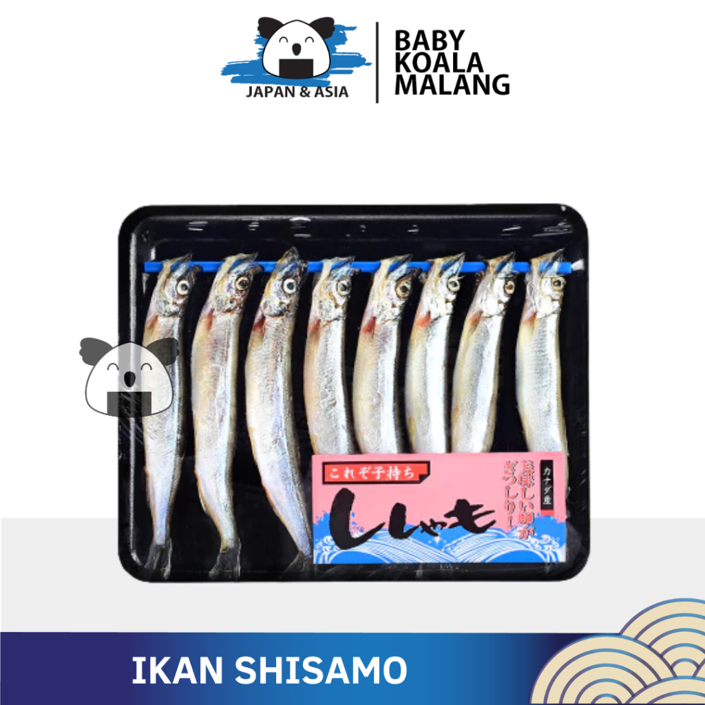 

Ikan Shisamo Fish | Capelin Fish Premium Import Frozen | Full Telur.