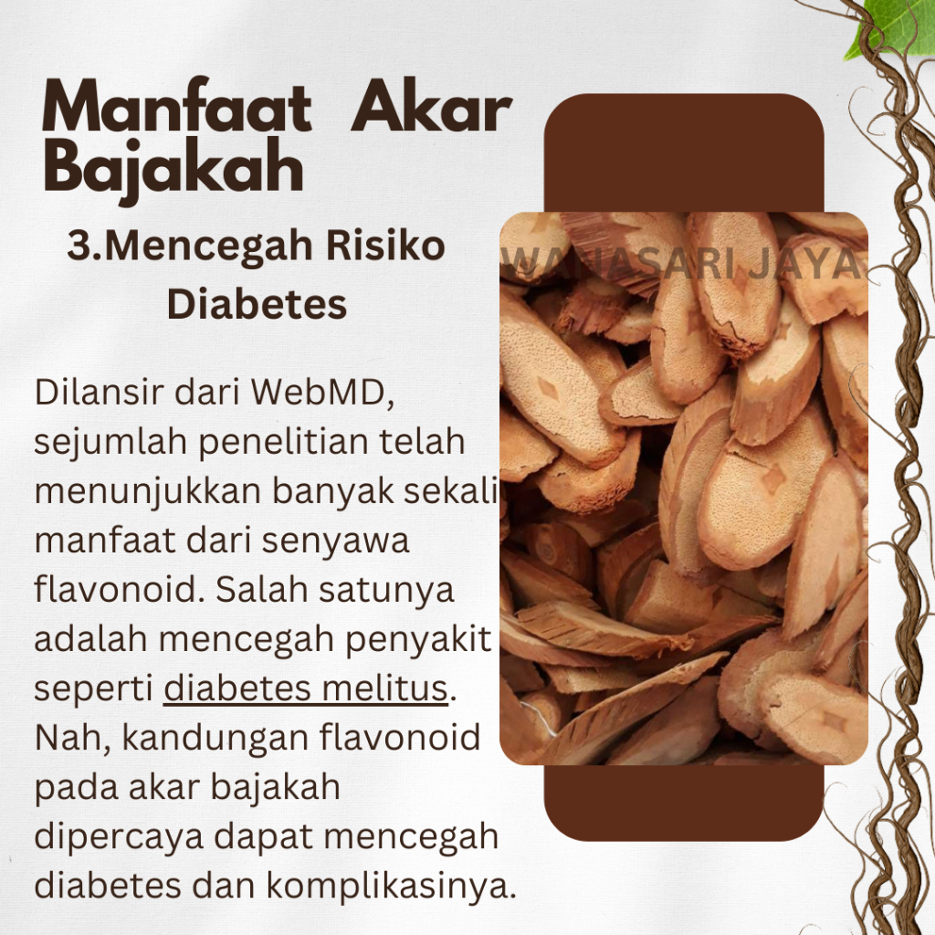 

TEH AKAR BAJAKAH PREMIUM ASLI KALIMANTAN KUALITAS TERBAIK KAYU BAJAKAH ASLI KALIMANTAN ORIGINAL
