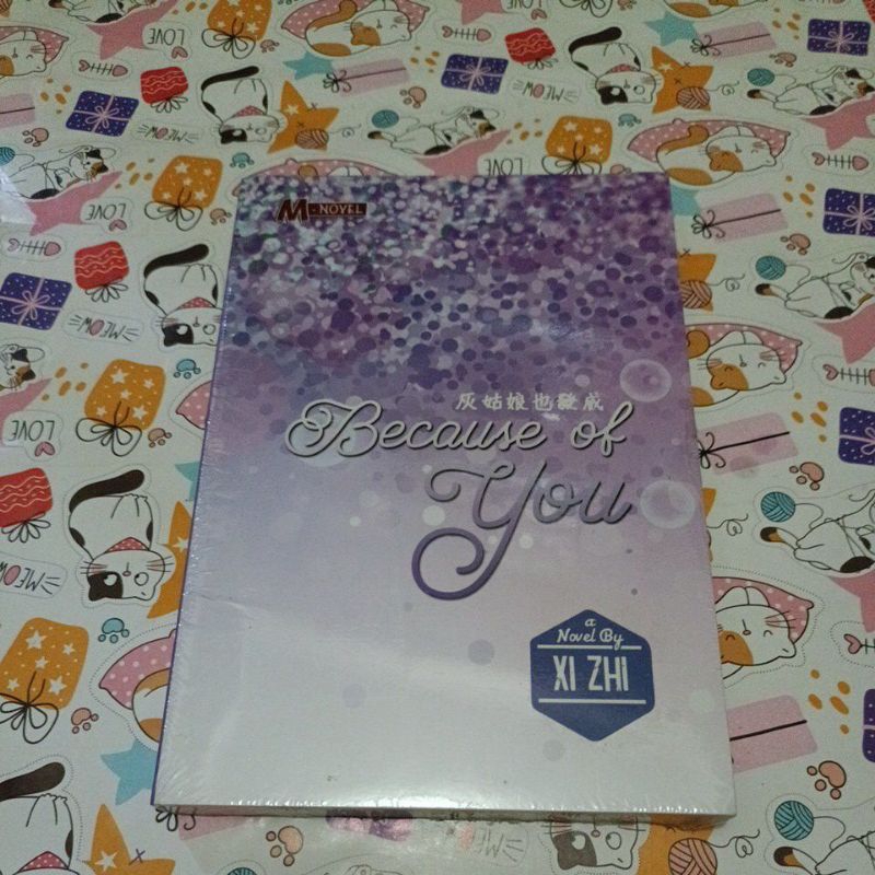 Novel Xi Zhi - Because of you