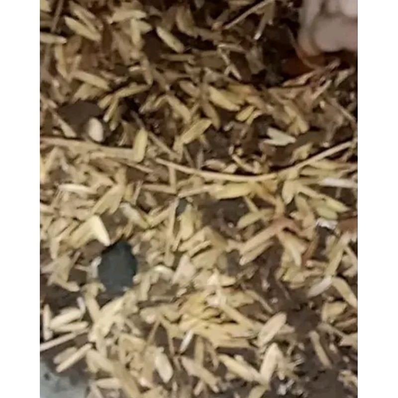 pupuk kandang kotran ayam sekam tanaman 1kg