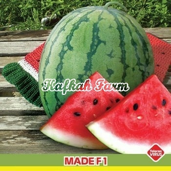 Benih 2 Biji Semangka MADE F1