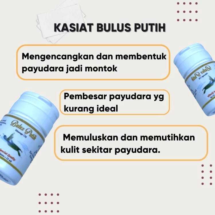 Obat Pembesar Payudara Ampuh Permanen Breast Minyak Bulus Pengencang Payudara yg Kendur BPOM