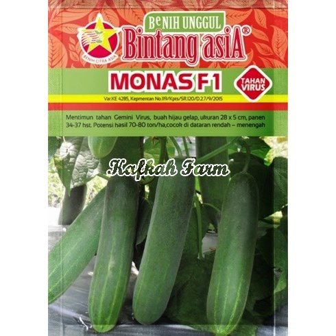 Benih 10 Biji Timun MONAS F1
