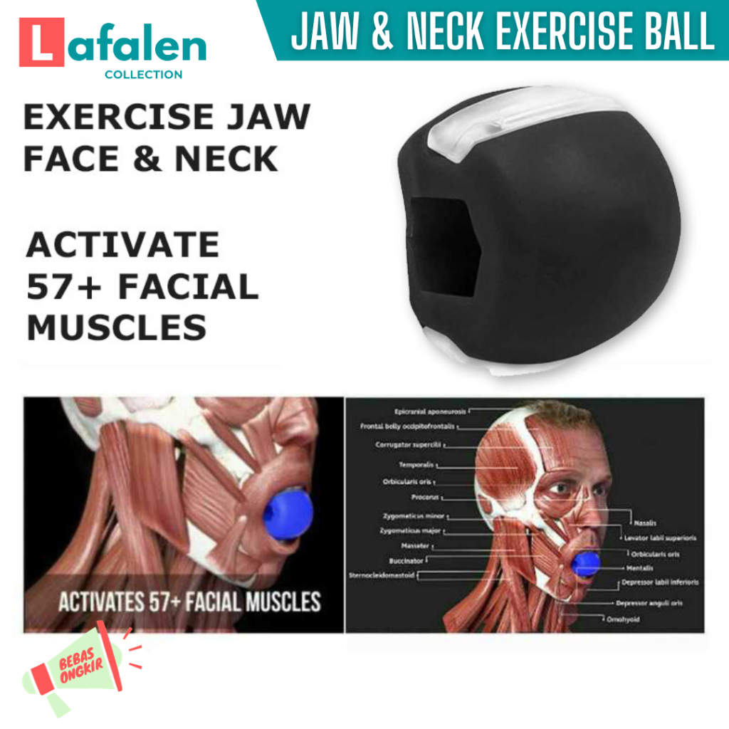 Latihan Rahang / Alat Olahraga Rahang Wajah Simetris / Jaw Exercise Silicone Training Ball