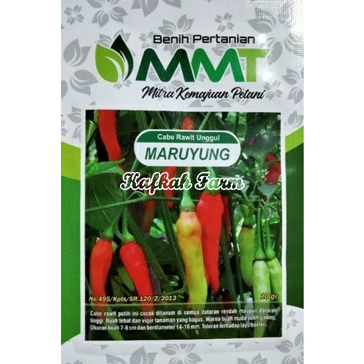 Benih 15 Biji Cabe Rawit MARUYUNG