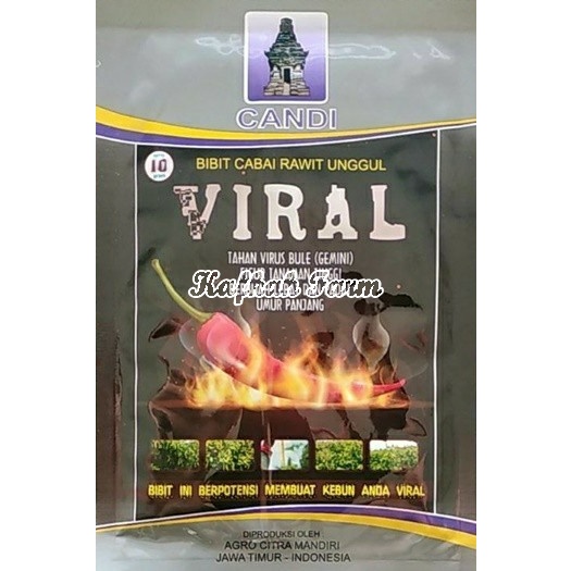 Benih 15 Biji Cabe Rawit VIRAL