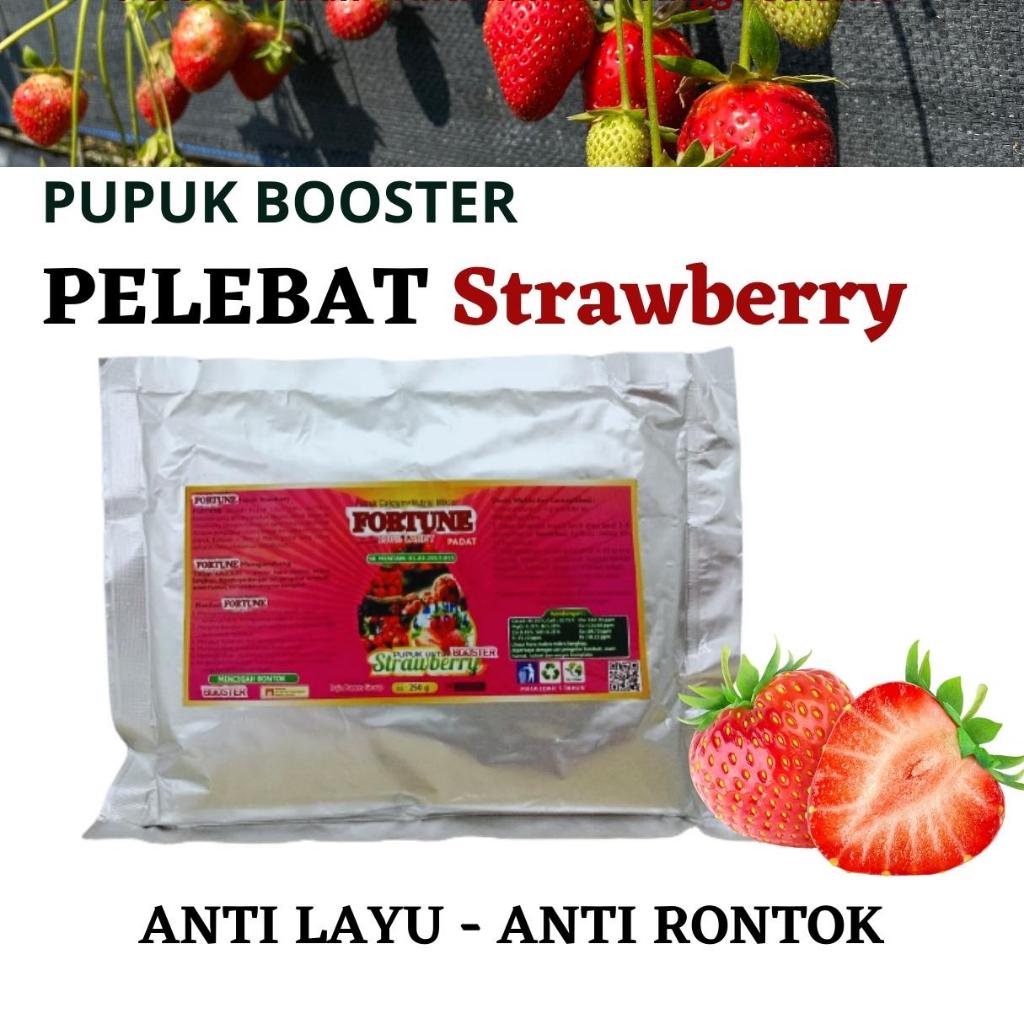 Pupuk Buah Strawberry, BISA COD Pupuk Pelebat Buah Strawberry, Penyubur Tanaman Buah Strawberry