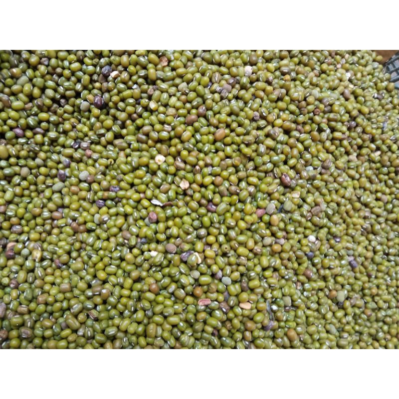 

kacang hijau nilon 250gr