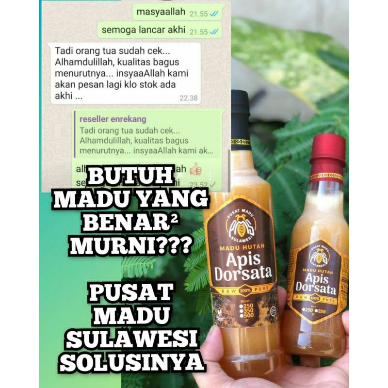 

Madu Hutan Asli Murni apis dorsata