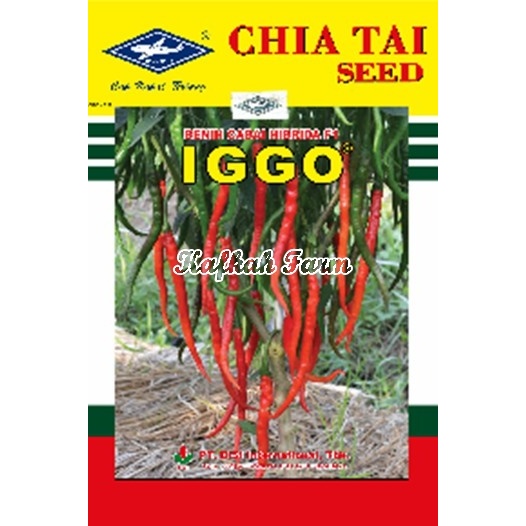 Benih 10 Biji Cabe Keriting IGGO F1