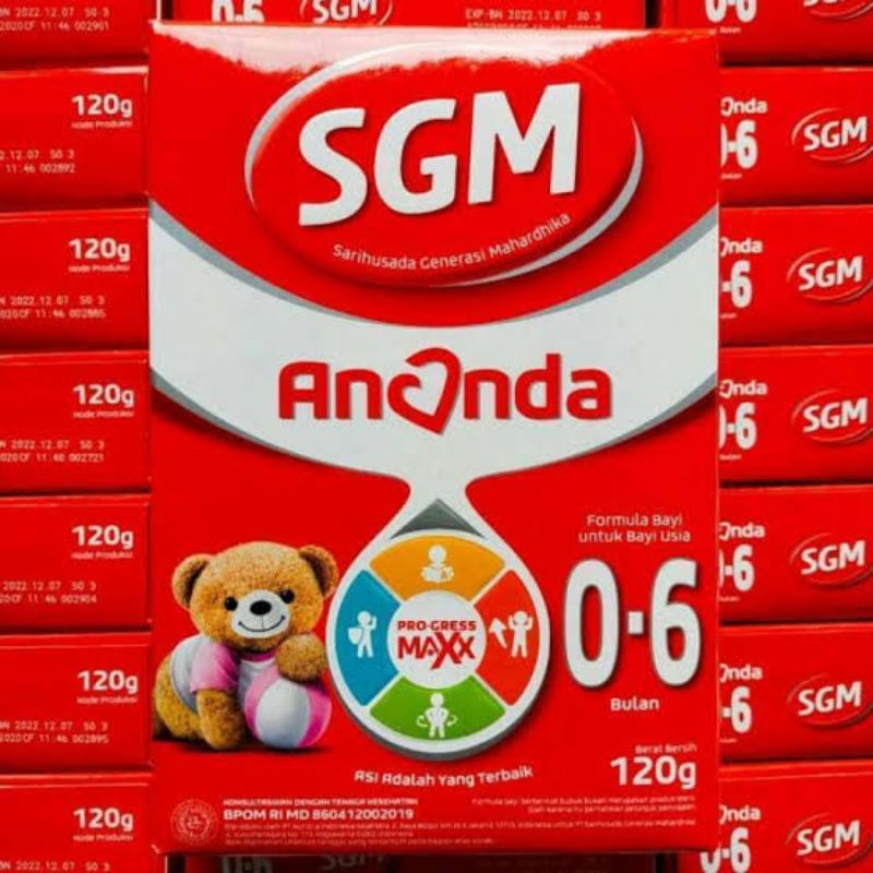 SGM ANANDA 0-6 BULAN 120 GRAM Exp 2027