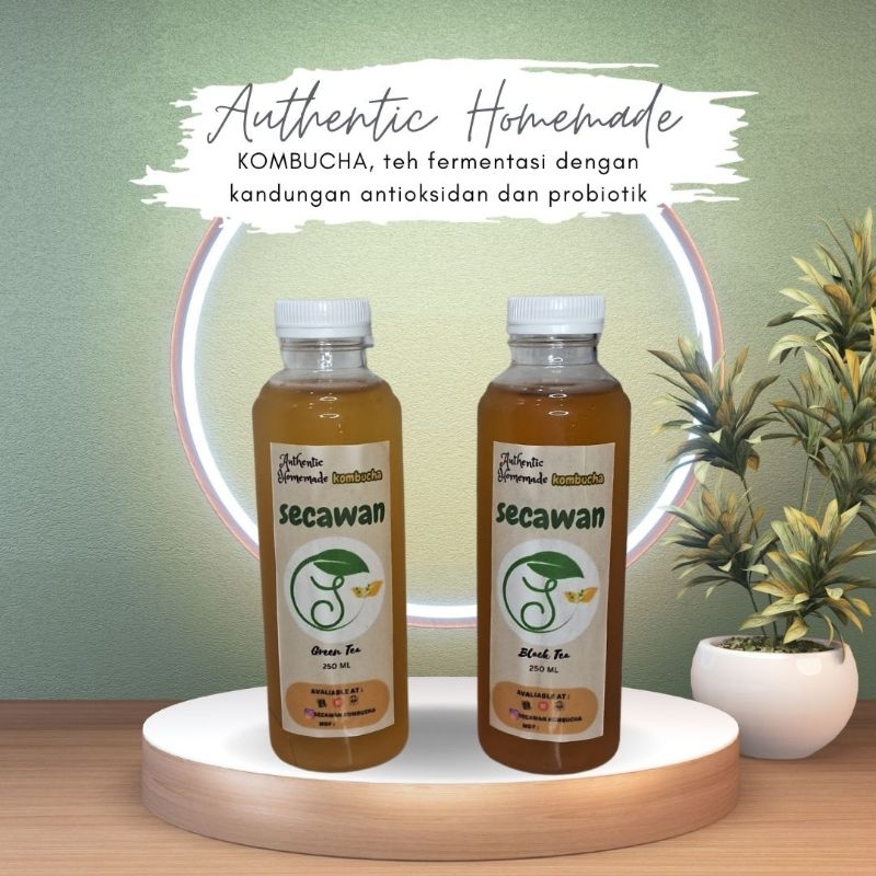 

Secawan kombucha original black tea 250 ml