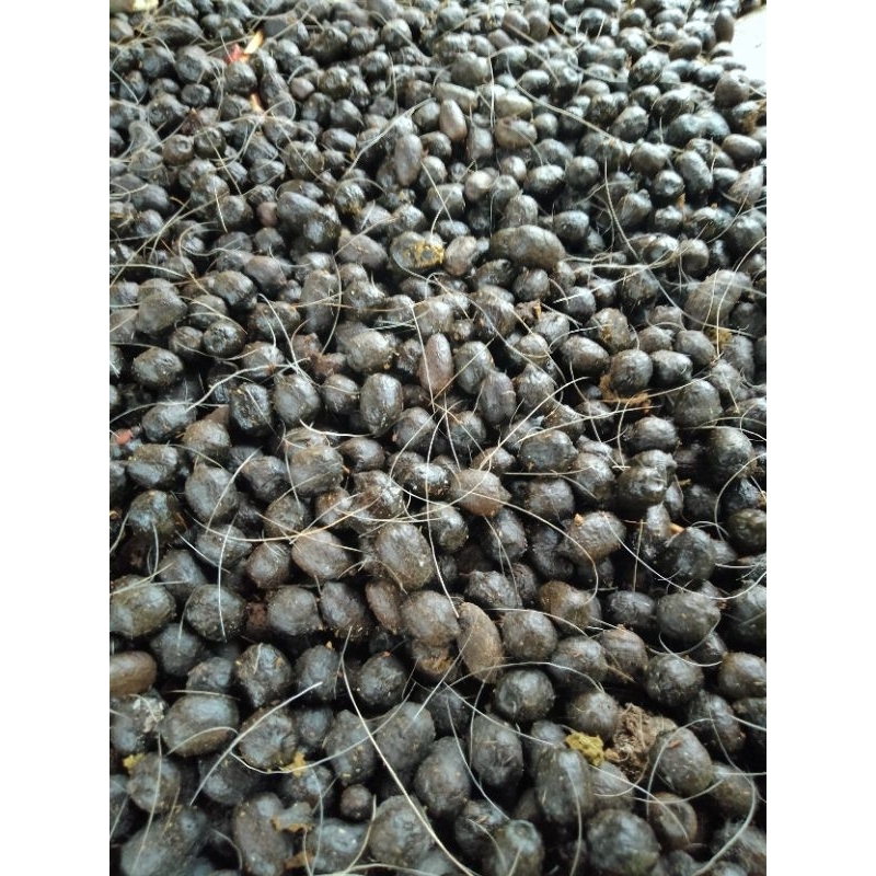 PUPUK KANDANG 1 KG / PUPUK ALAMI KAMBING