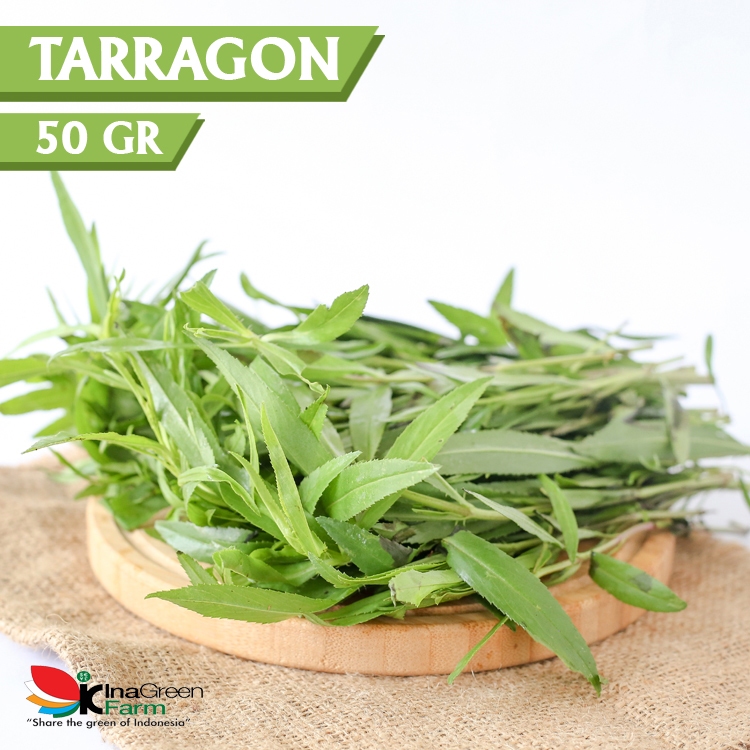 

Inagreen Farm Bandung Tarragon Herbs Fresh 50 Gram