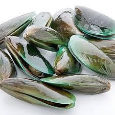 

Kerang hijau segar _ 1kg