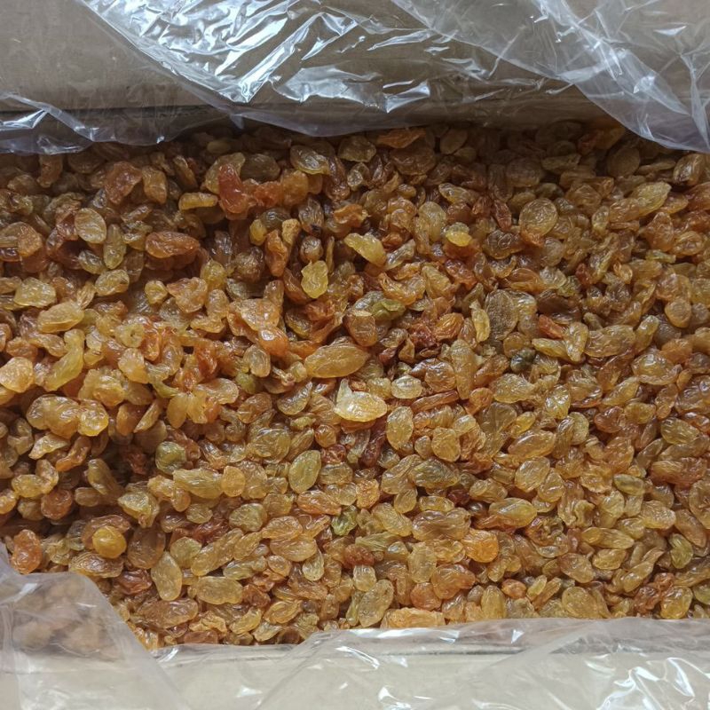 

kismis Arab Kuning Asam Manis 1 kg