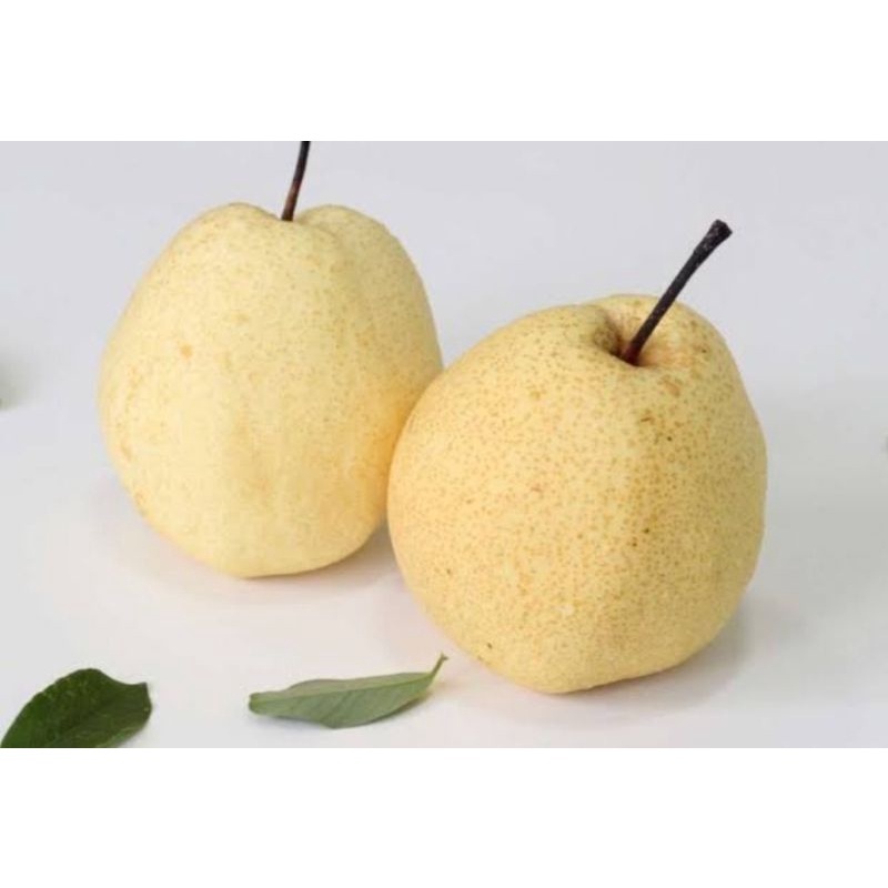 

Pear Cuyu Madu