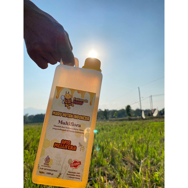 

Madu Multiflora Promo 12/12