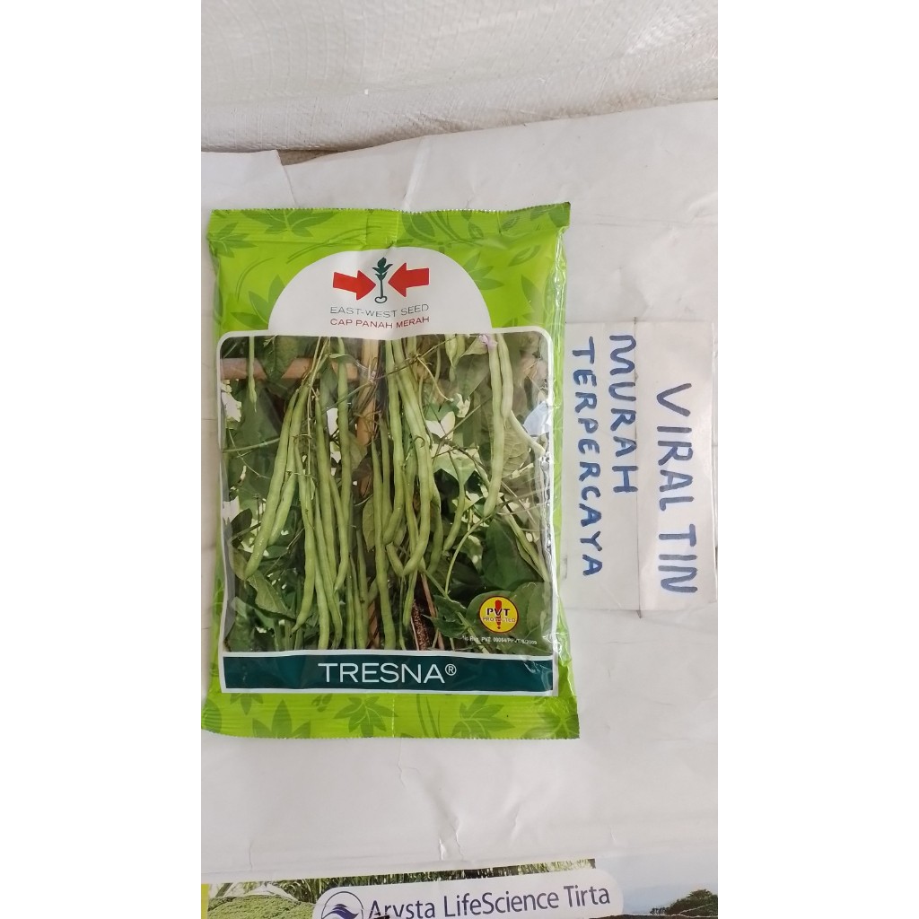 bibit / benih buncis tresna 500 gr.