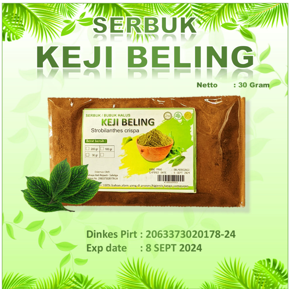 

DAUN KEJI BELING BUBUK - Strobilanthes Crispa - BUBUK HALUS - MURNI TANPA CAMPURAN