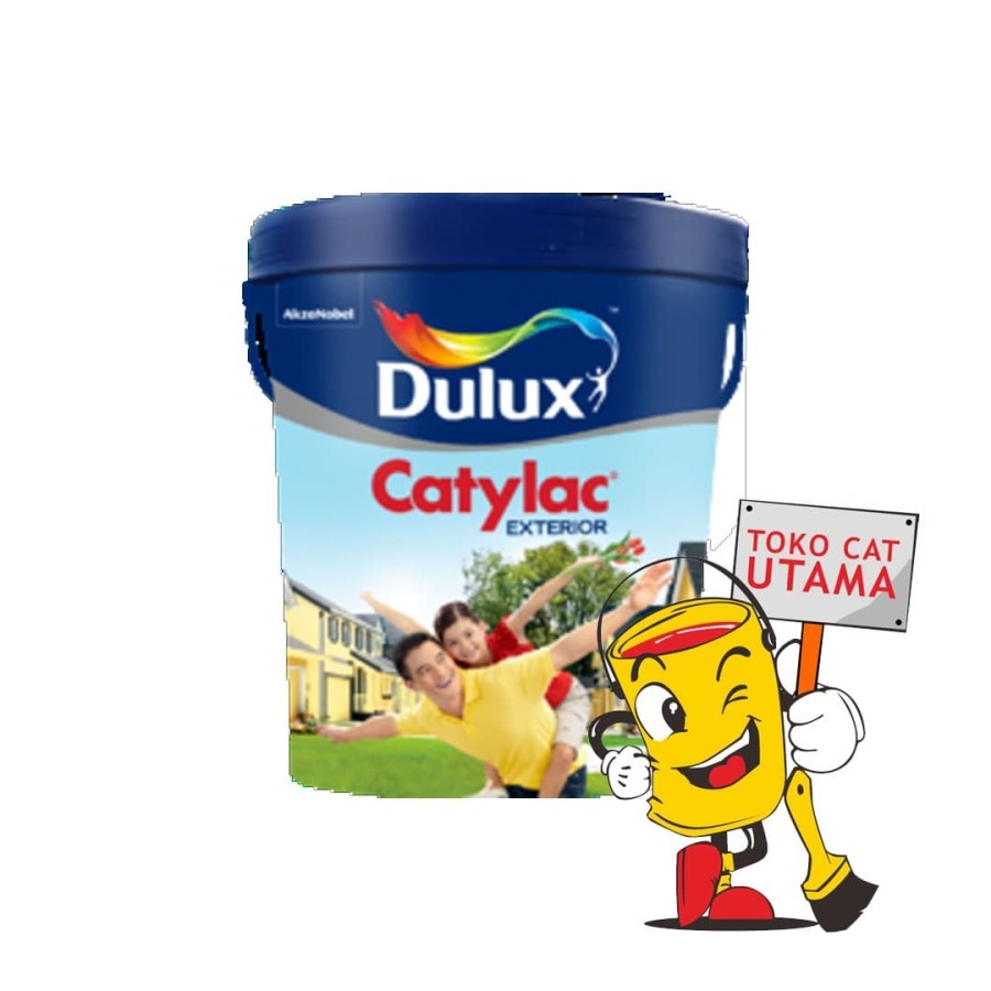 Dulux Catylac Exterior Tinting 25 Kg