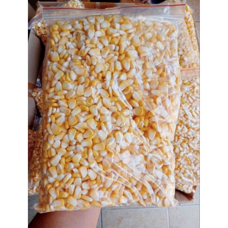 

jangung manis pripil