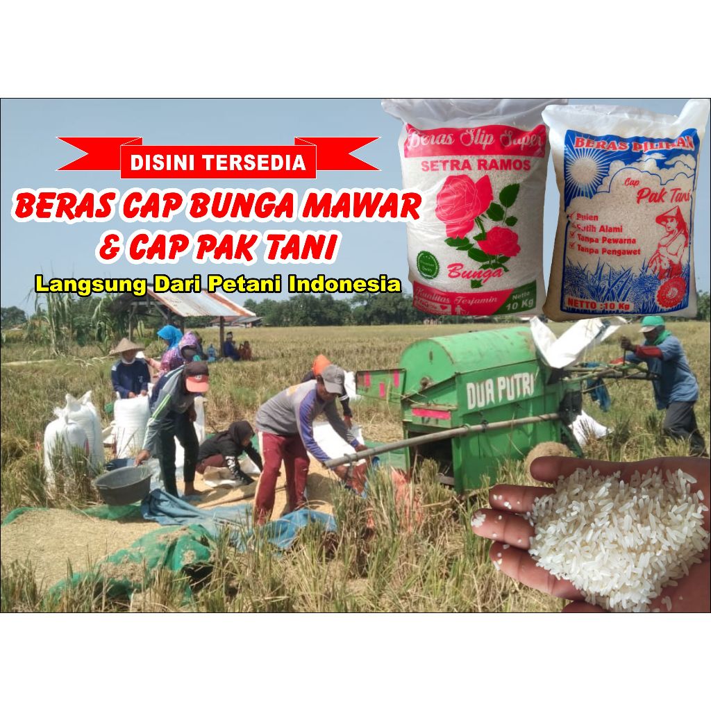 

Beras Cap Bunga Mawar 10 Liter | Langsung Dari Petani Indonesia