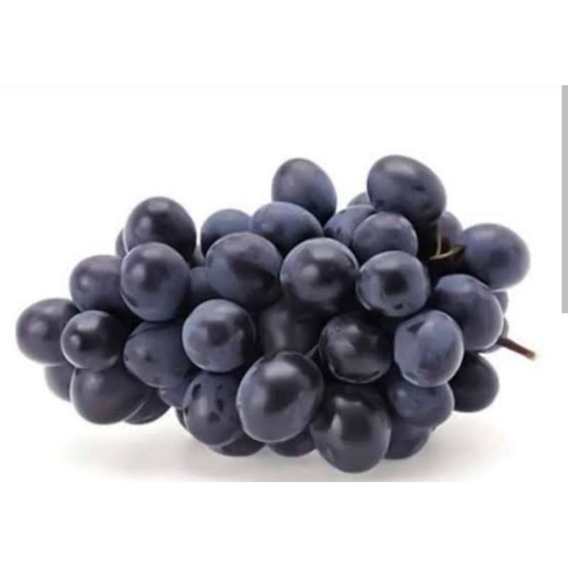 

BUAH ANGGUR HITAM 250 GR SAYUR SEGAR PALEMBANG