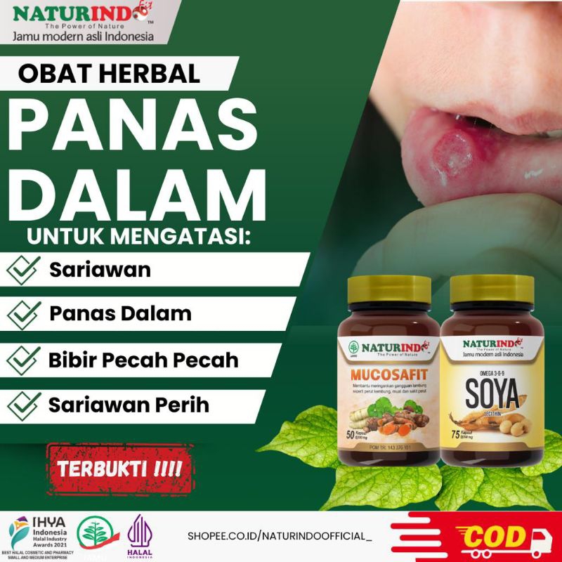 Obat Sariawan Panas Dalam Bibir Pecah Pecah Sariawan Perih Herbal Ampuh