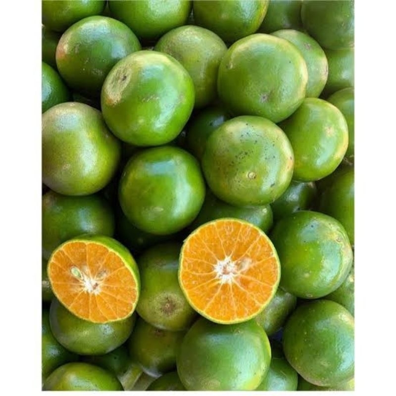 

Jeruk peras | 500 gram Fresh