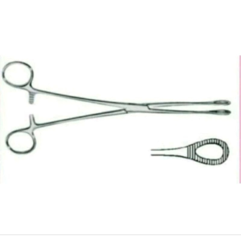 Venster Klem / Sponge Holding