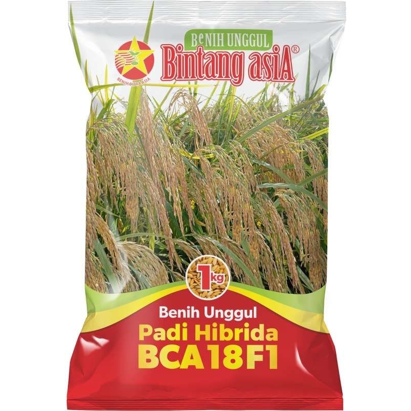 Padi HIBRIDA BCA 18 F1