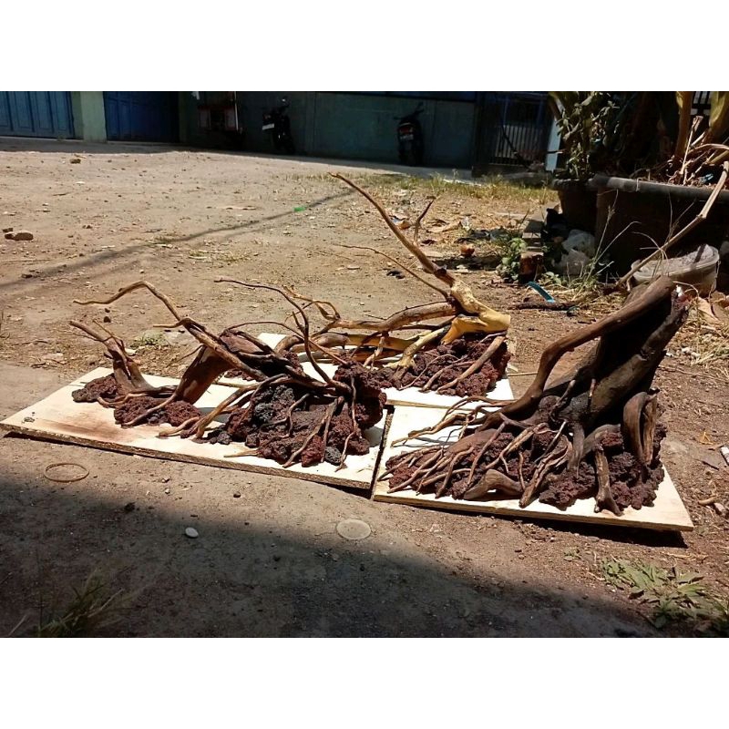 hardscape aquascape natural