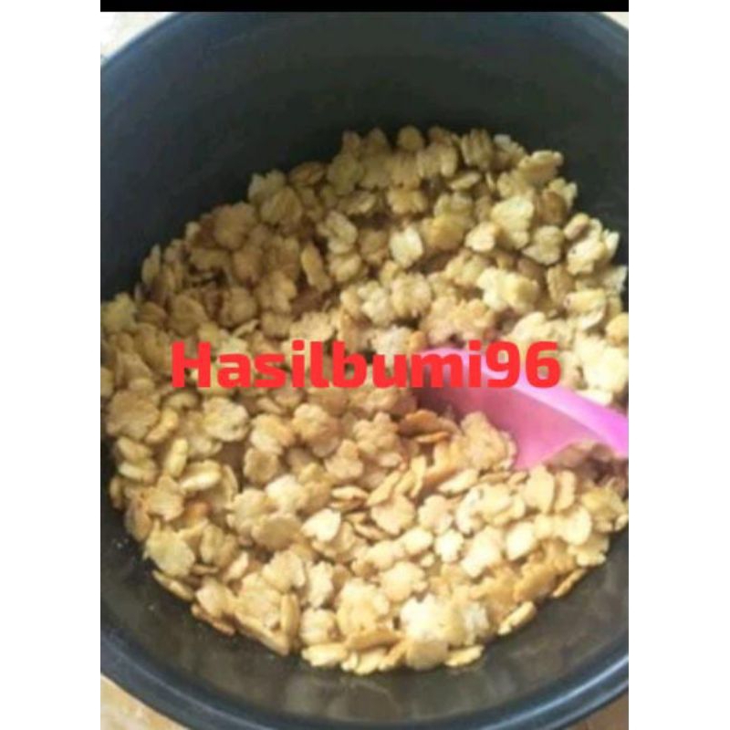 

EMPING CEPLIS MELINJO ASLI GURIH ASIN 500GR