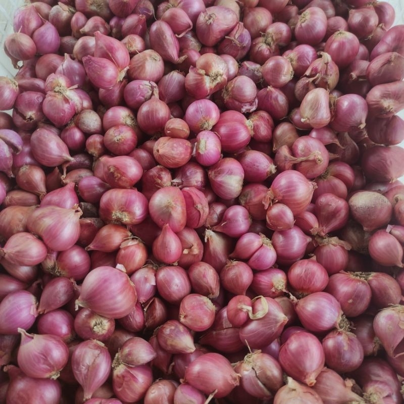 

Bawang Merah 500gram