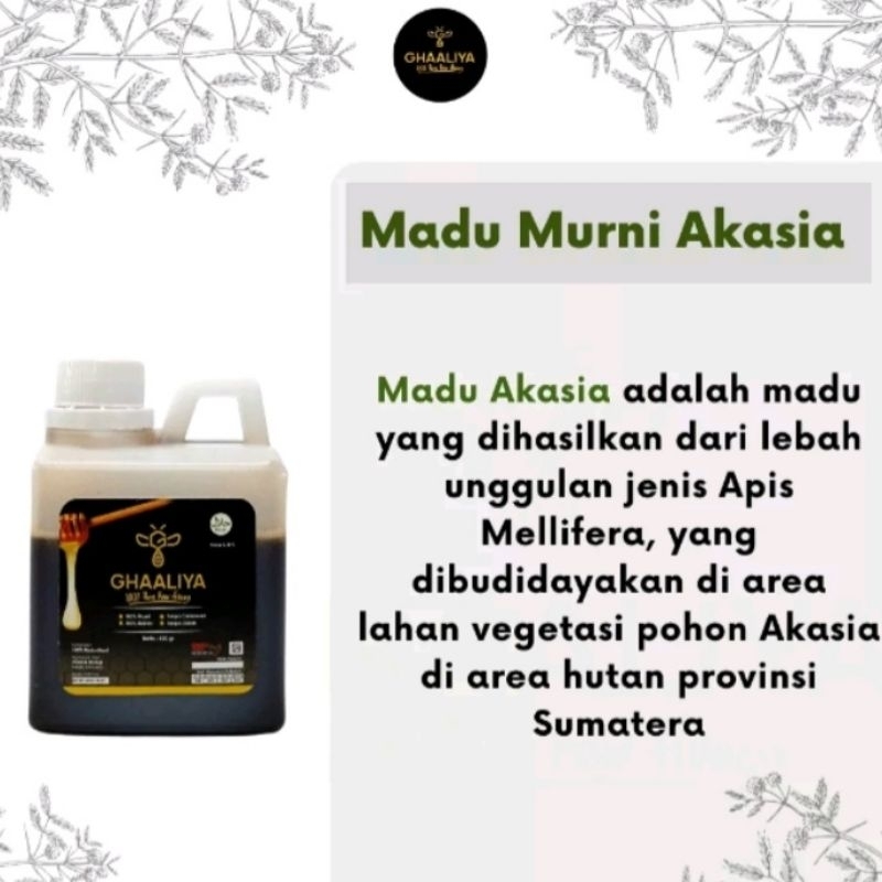 

Madu Murni Akasia Asli100% Tampa Campuran Nektar Bunga Akasia 500 gram