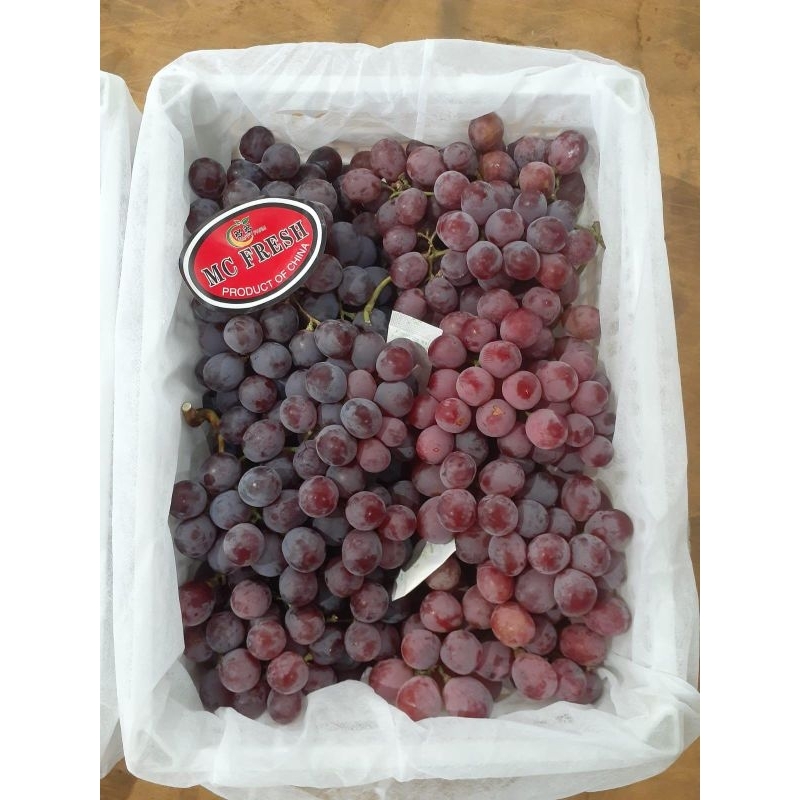 

✔Instan Surabaya❤Buah Anggur Jumbo Manis Import❤ Buah surabaya