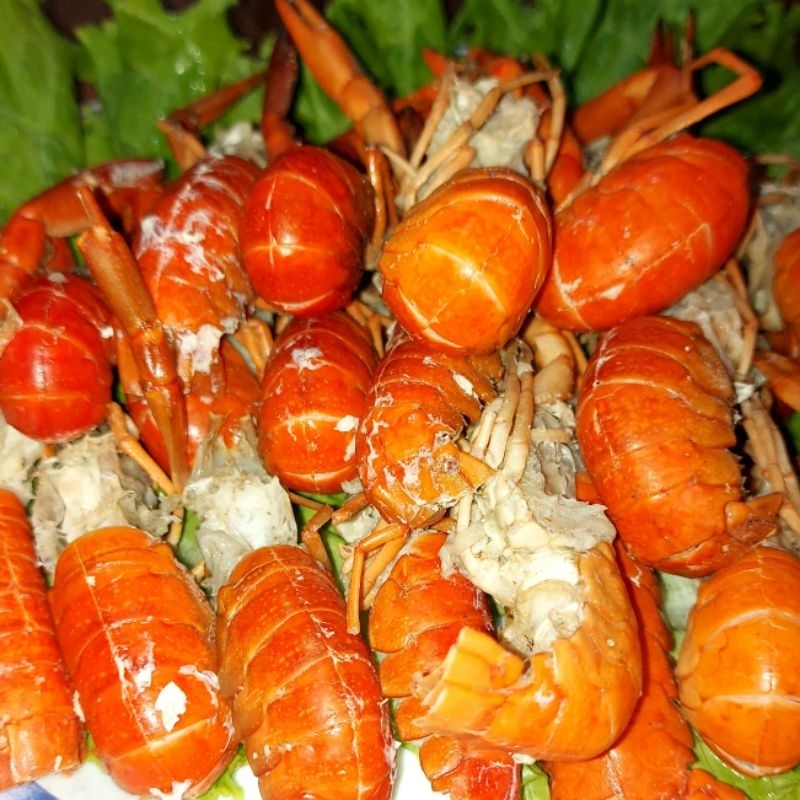 

LOBSTER AIR TAWAR KUKUS