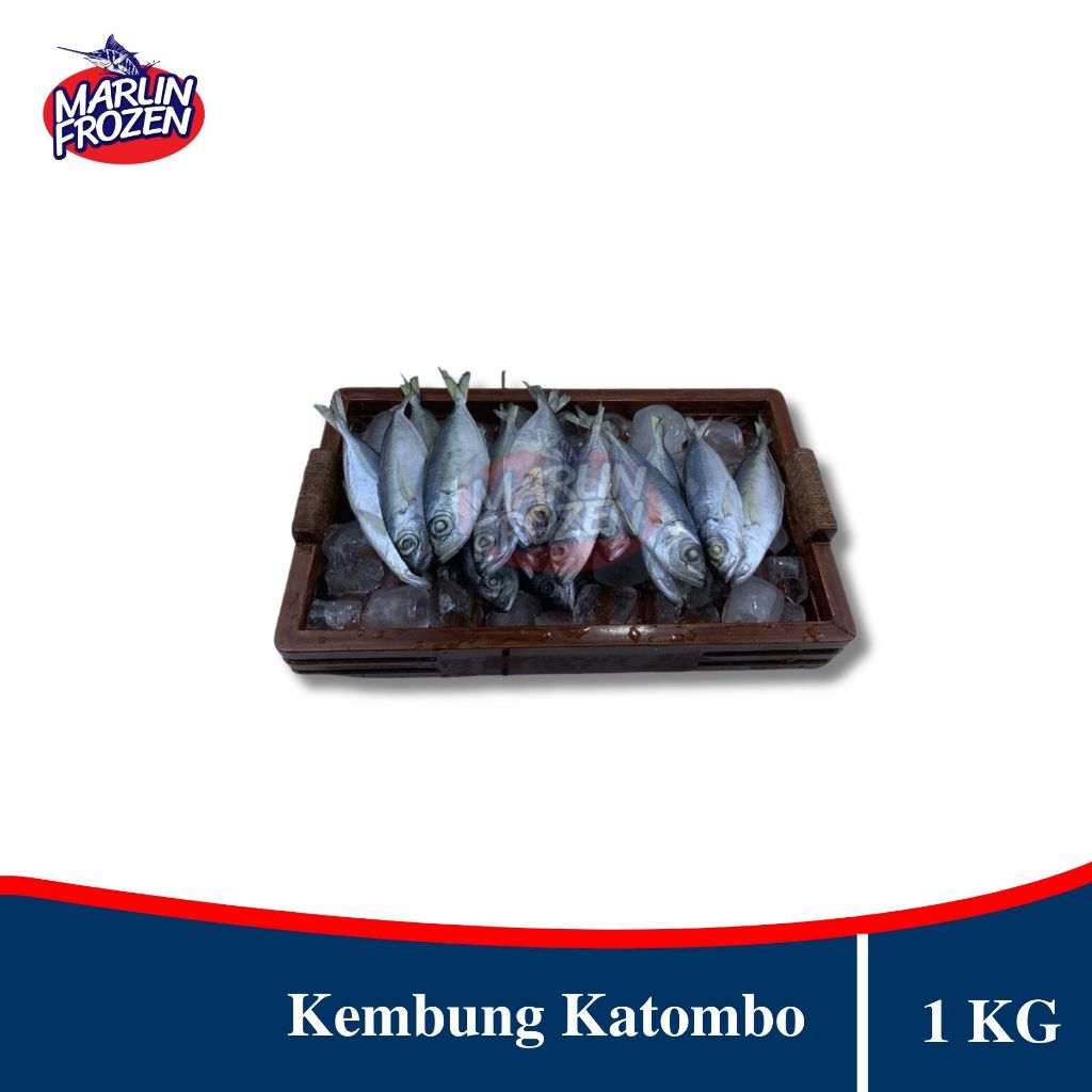 

Ikan Kembung Katombo 1 Kg / Ikan Kembung Curah