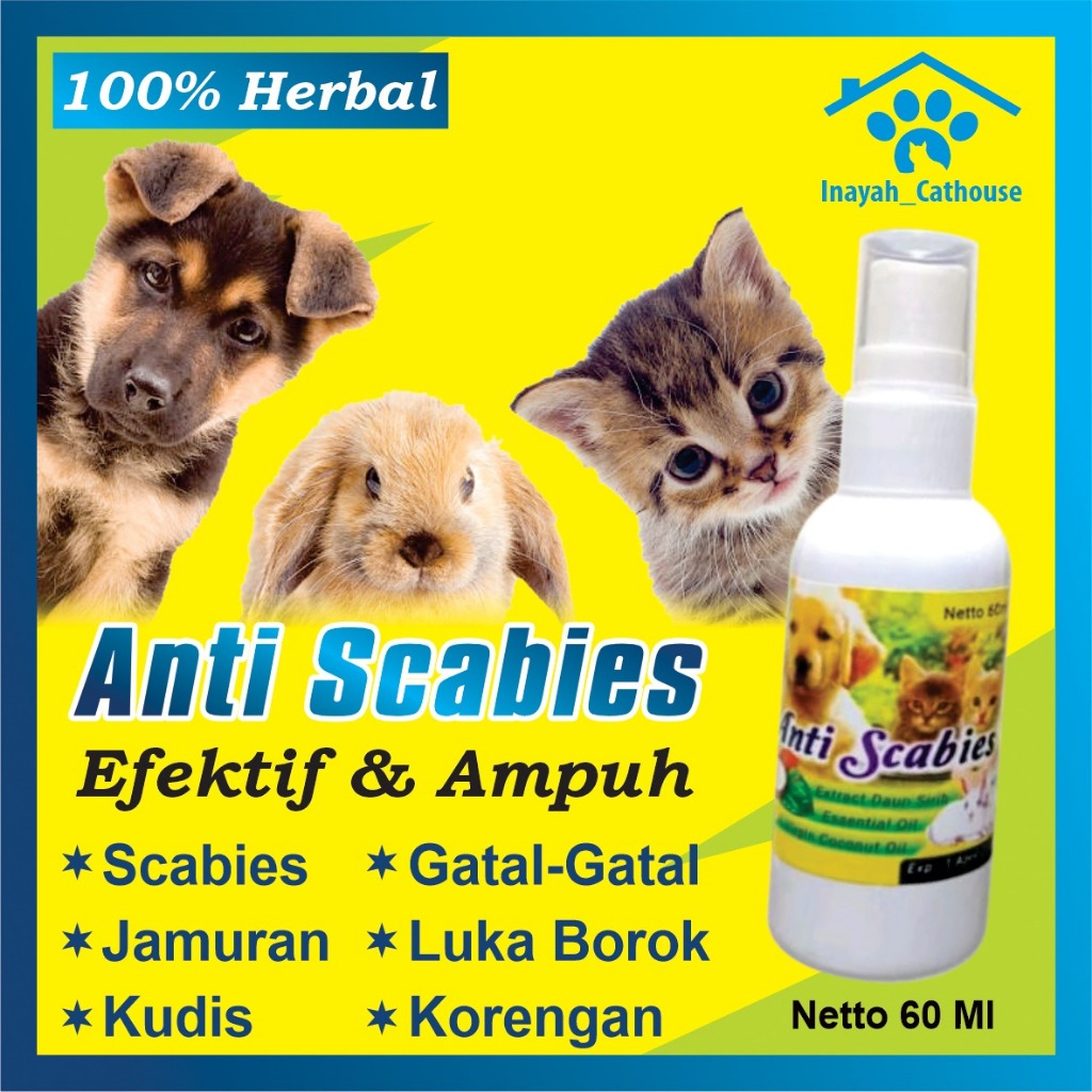 Obat Jamur Spray Semprot Kucing, Kelinci dan Anjing | Obat Scabies, Jamur, Ringworm, Demodex, Impeti