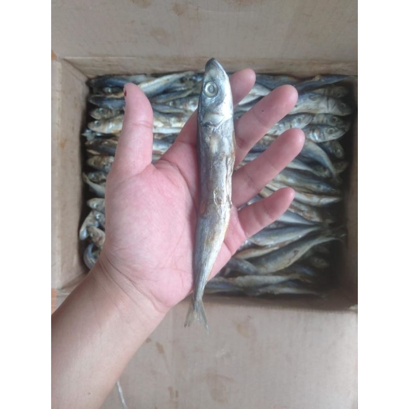 

ikan asin/ gereh kedo