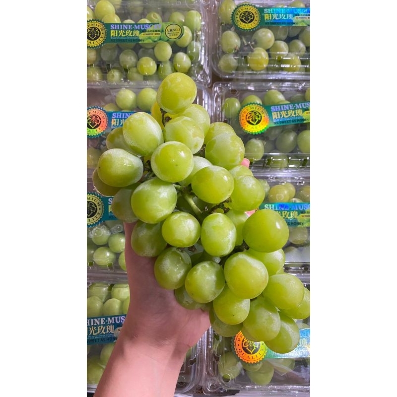 

ANGGUR SHINE MUSCAT GRAPES FRESH IMPORT per dus 5kg 10 box / 500 gram