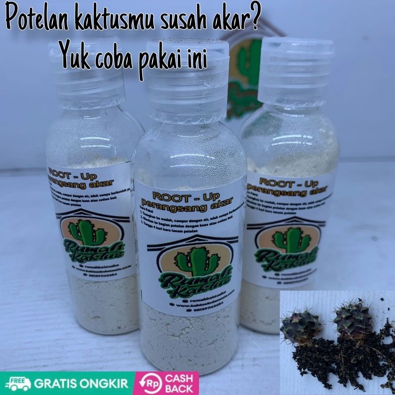 perangsang akar potelan kaktus ROOT UP