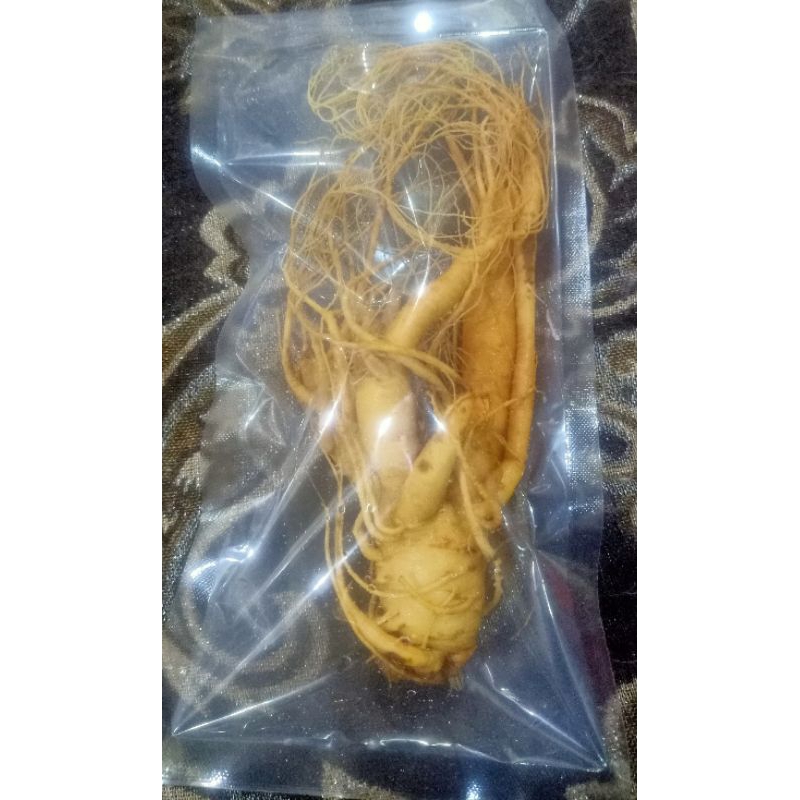 

Gingseng merah korea asli