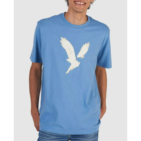 American Eagle Shirt
