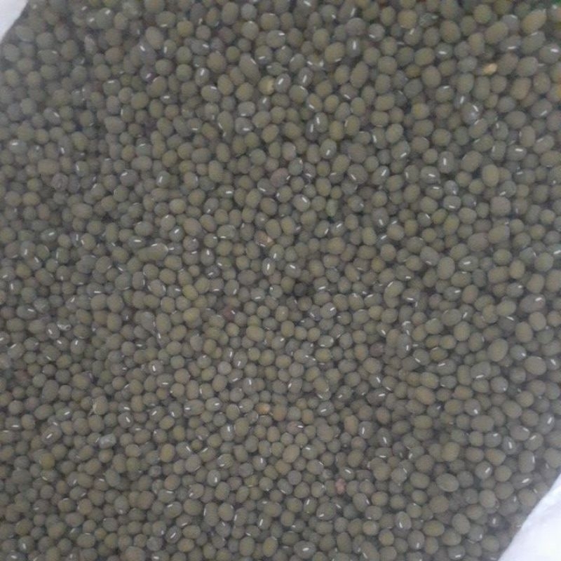 

kacang hijau