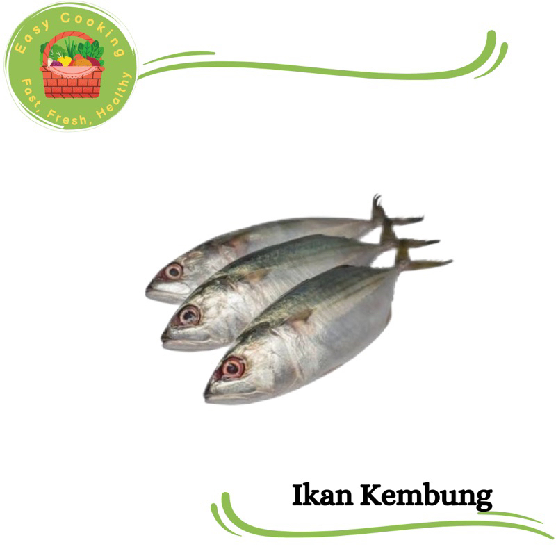 

Easycooking - Ikan Kembung Segar 500 gram